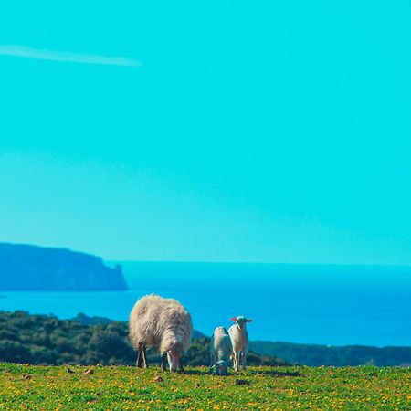 Agriturismo Il Ginepro Fluminimaggiore Εξωτερικό φωτογραφία