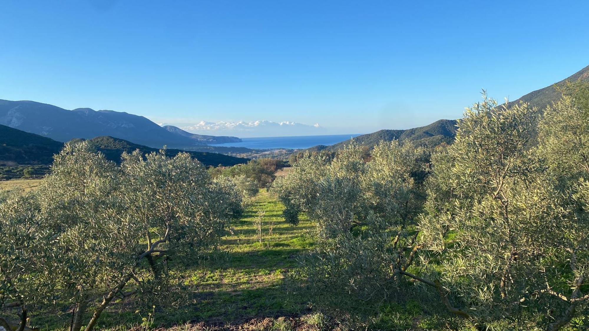 Agriturismo Il Ginepro Fluminimaggiore Εξωτερικό φωτογραφία