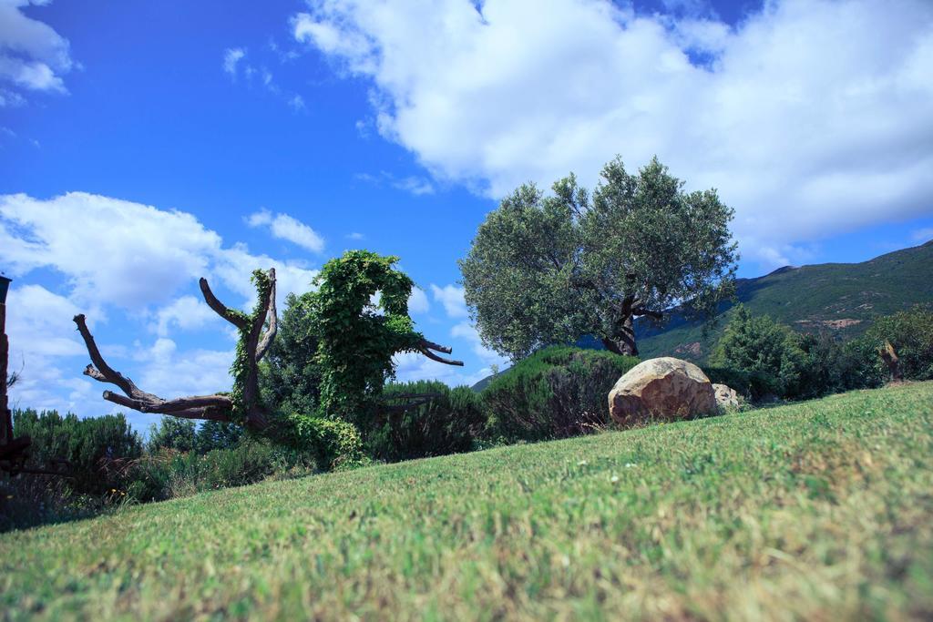 Agriturismo Il Ginepro Fluminimaggiore Εξωτερικό φωτογραφία