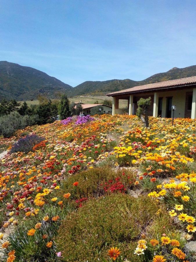 Agriturismo Il Ginepro Fluminimaggiore Εξωτερικό φωτογραφία