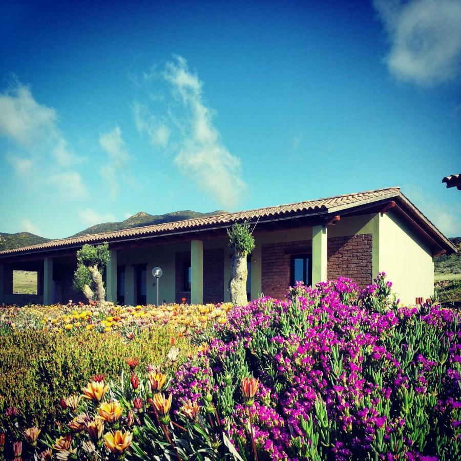 Agriturismo Il Ginepro Fluminimaggiore Εξωτερικό φωτογραφία