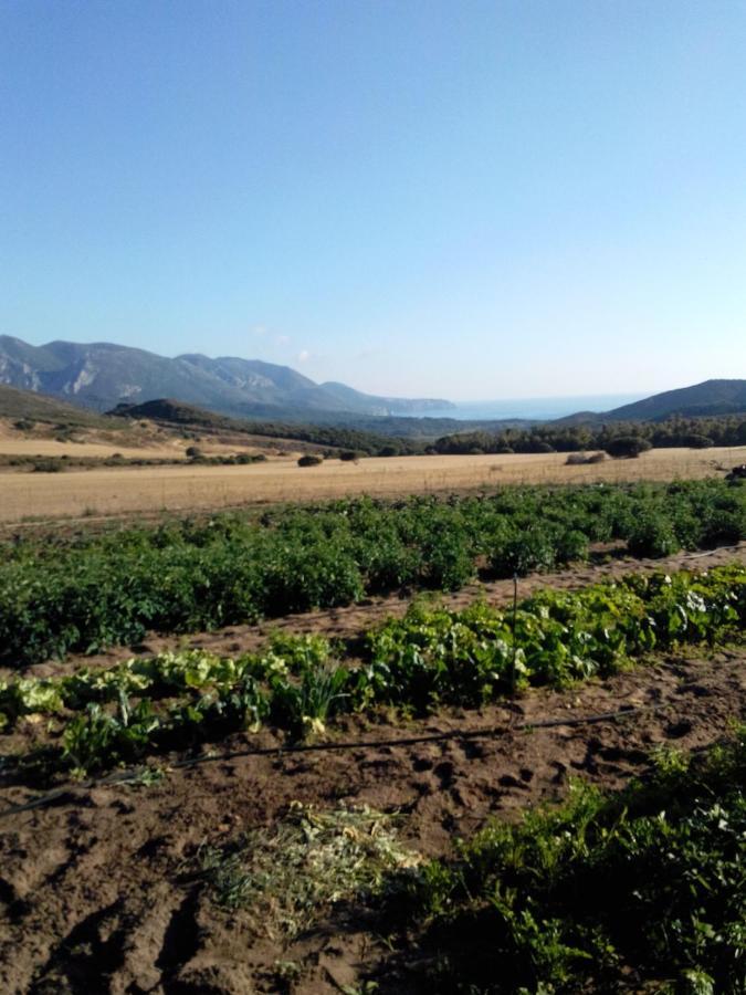 Agriturismo Il Ginepro Fluminimaggiore Εξωτερικό φωτογραφία